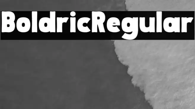 Boldric Regular Example 2