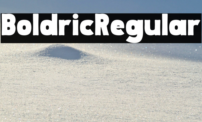 Boldric Regular Example 3
