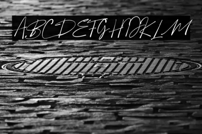 Boldris Font examples