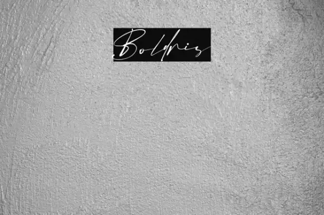 Boldris Font examples