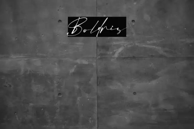 Boldris Font examples