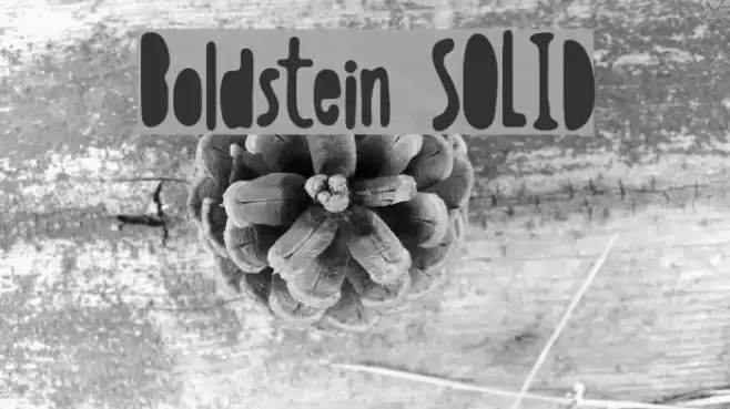 Boldstein SOLID Font examples
