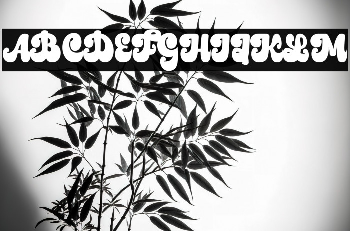 Boldy Vintage Personal use Example 2