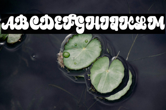 Boldy Vintage Personal use Example 3