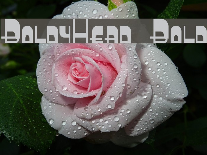 BoldyHead Bold Font examples