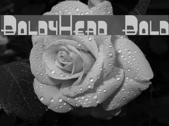 BoldyHead Bold Example 1