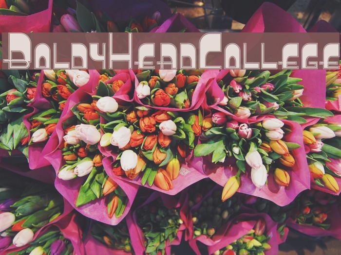 BoldyHeadCollege Font examples