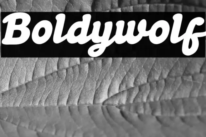 Boldywolf Font examples
