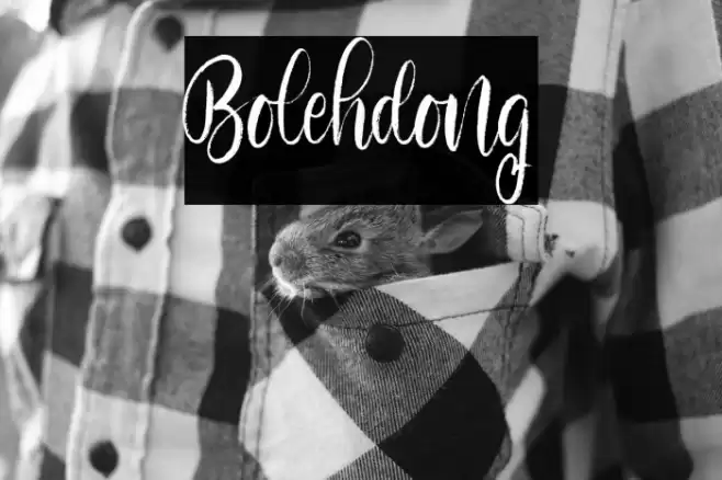 Bolehdong Font examples