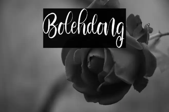 Bolehdong Font examples