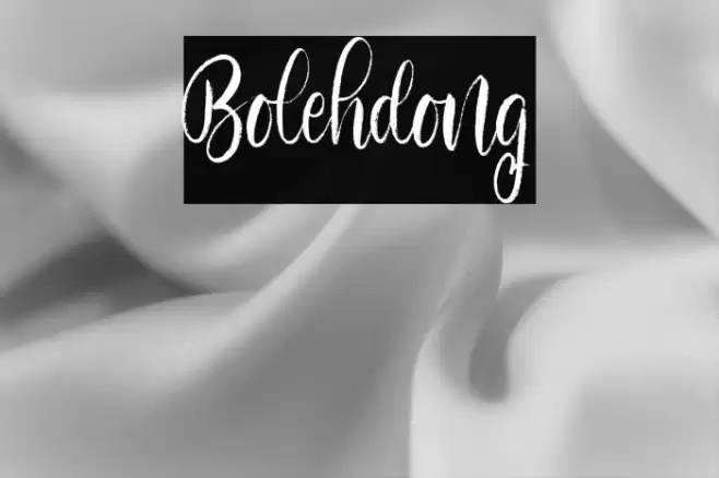Bolehdong Font examples