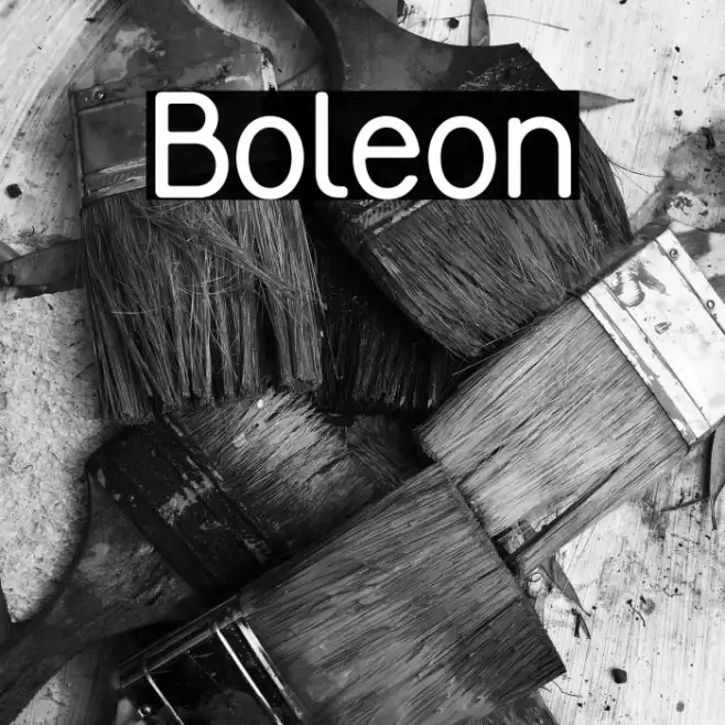 Boleon Example 1
