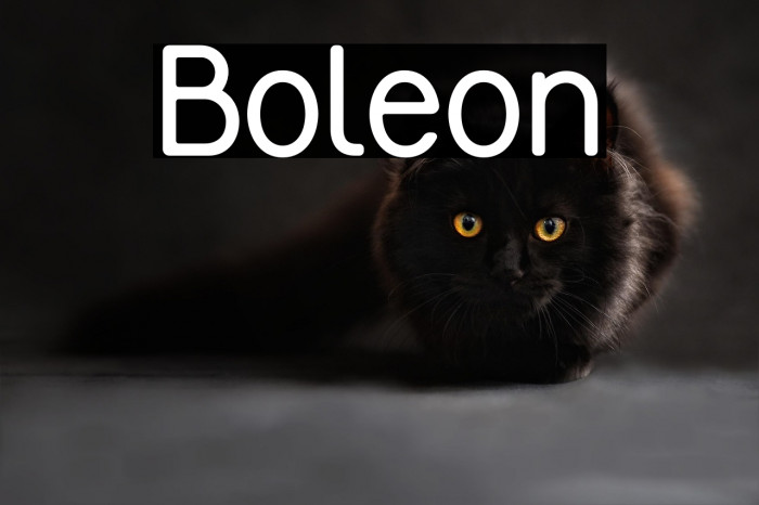 Boleon Example 2