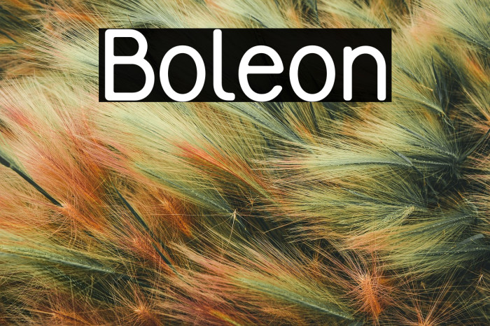 Boleon Example 3