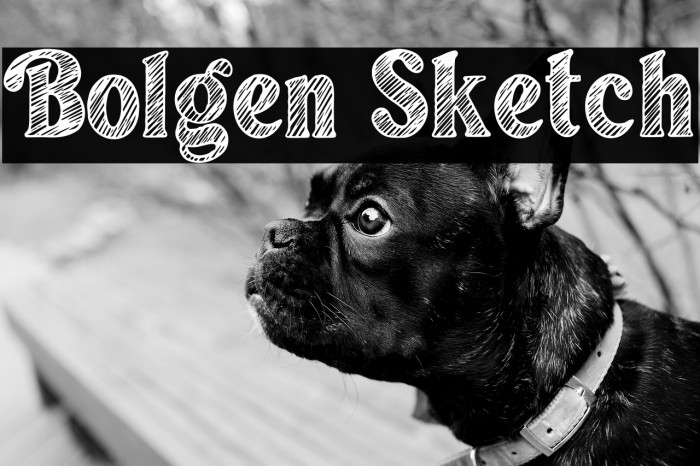 Bolgen Sketch Example 1