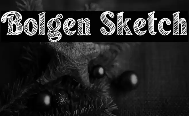 Bolgen Sketch Font examples