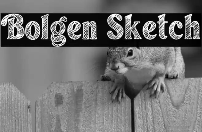 Bolgen Sketch Font examples