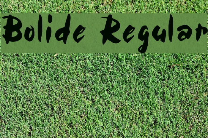Bolide Regular Font examples
