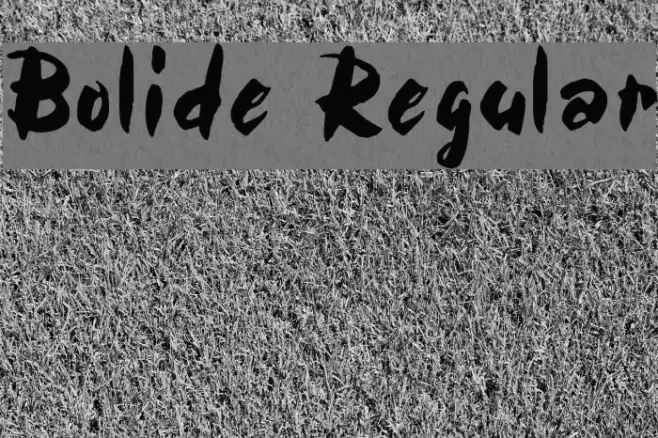 Bolide Regular Example 1