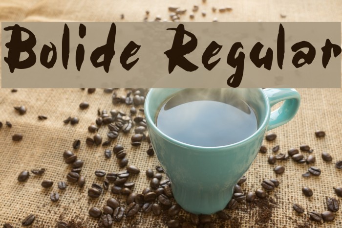Bolide Regular Font examples