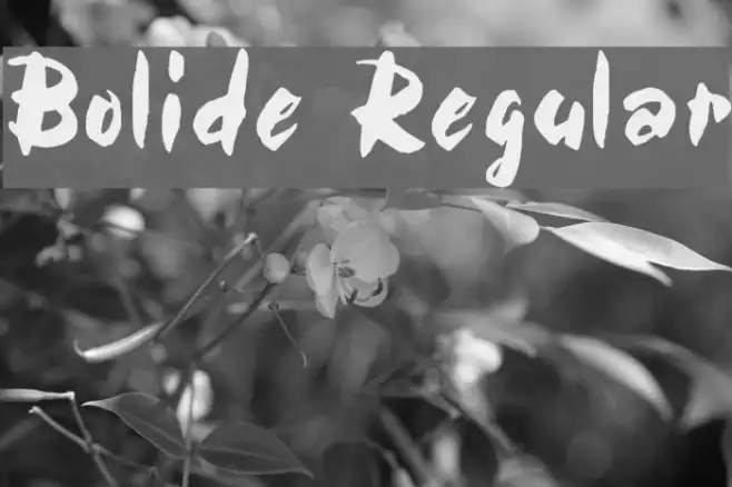 Bolide Regular Example 3