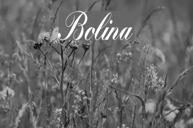 Bolina Font examples