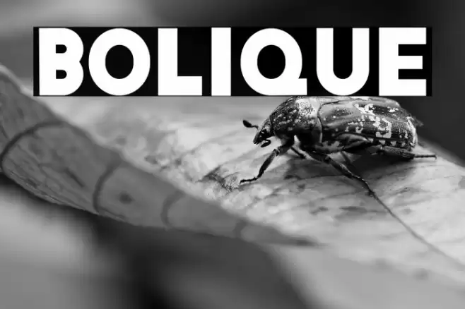 Bolique Font examples
