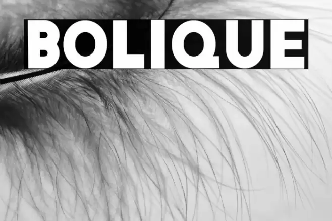Bolique Font examples