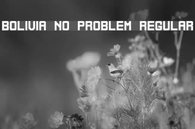 Bolivia No Problem Regular Font examples