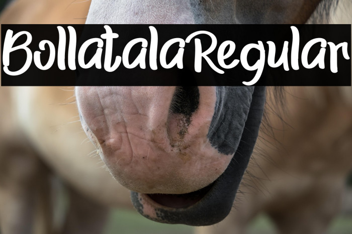 BollatalaRegular Example 1
