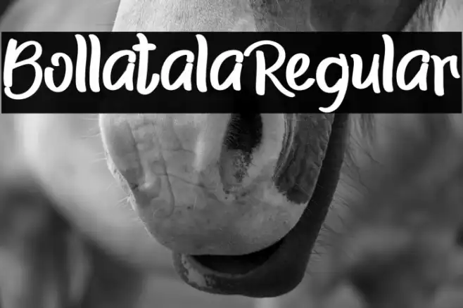 BollatalaRegular Example 1