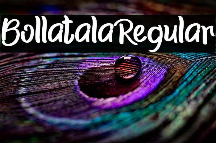 BollatalaRegular Example 2