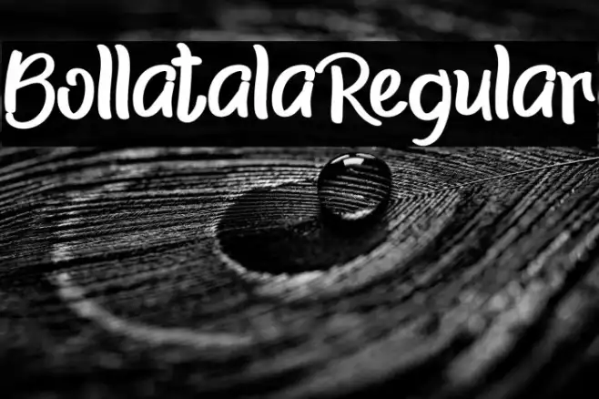 BollatalaRegular Example 2