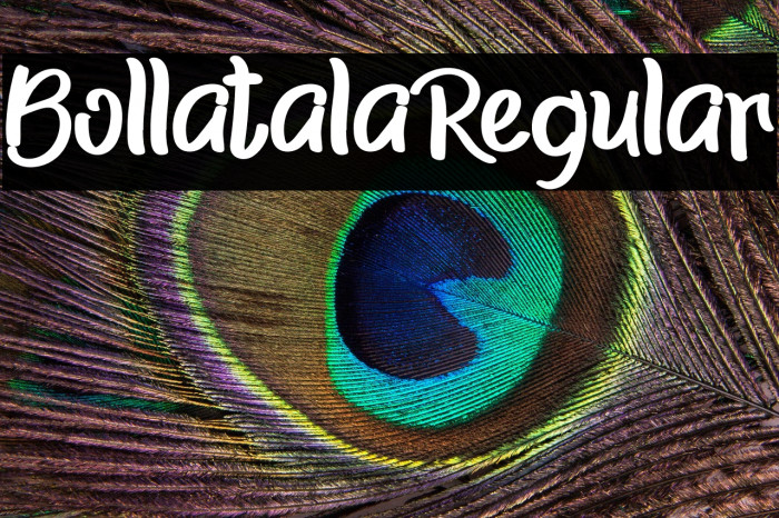 BollatalaRegular Example 3