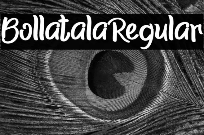 BollatalaRegular Example 3