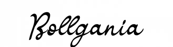 Bollgania  Free Fonts Download