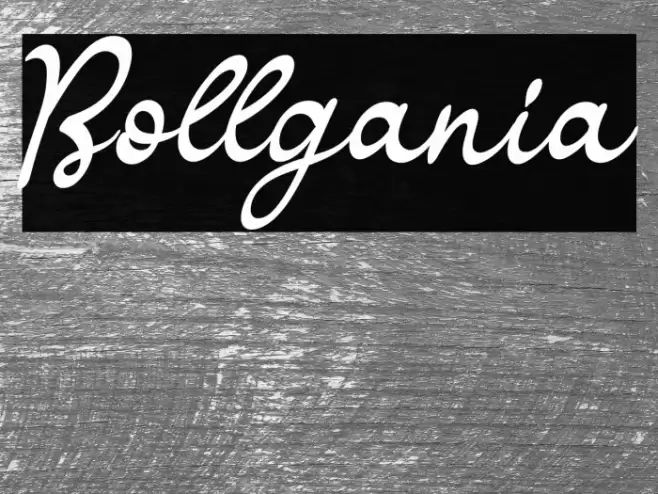 Bollgania Caratteri examples