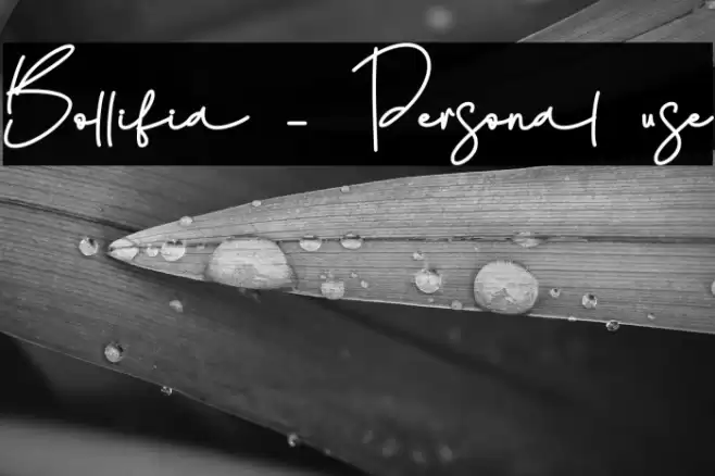 Bollifia - Personal use フォント examples