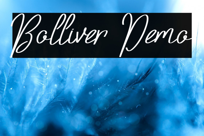 Bolliver Demo Example 1