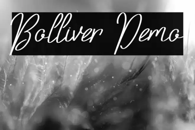 Bolliver Demo Font examples