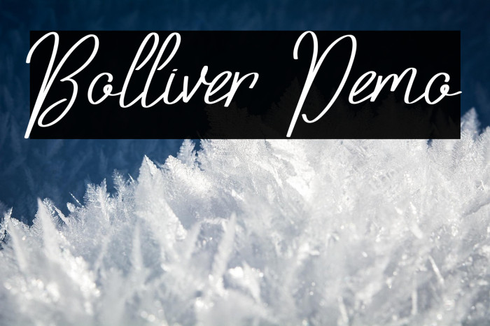 Bolliver Demo Example 2