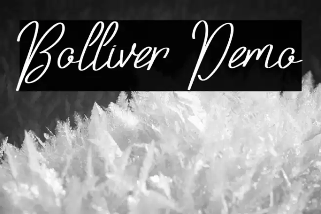 Bolliver Demo Font examples