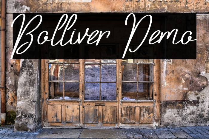 Bolliver Demo Example 3