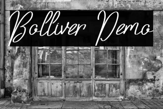 Bolliver Demo Font examples