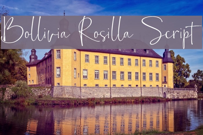Bollivia Rosilla Script Font examples