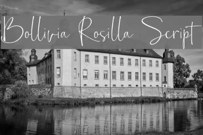 Bollivia Rosilla Script Example 1
