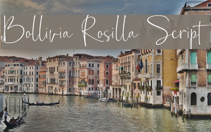 Bollivia Rosilla Script Font examples
