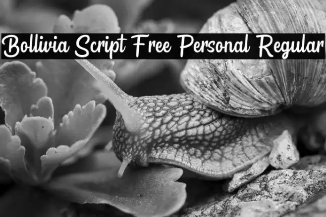 Bollivia Script Free Personal Regular Example 3