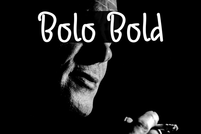 Bolo Bold Example 1