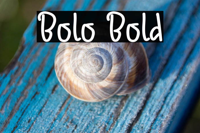 Bolo Bold Example 3